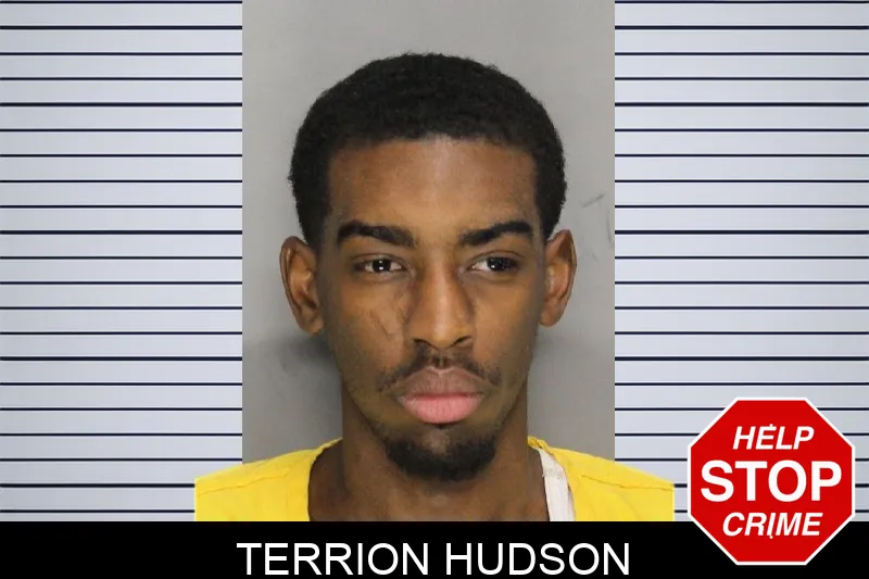 Terrion Hudson mugshot – Cobb County , Georgia Terrion Hudson mugshot