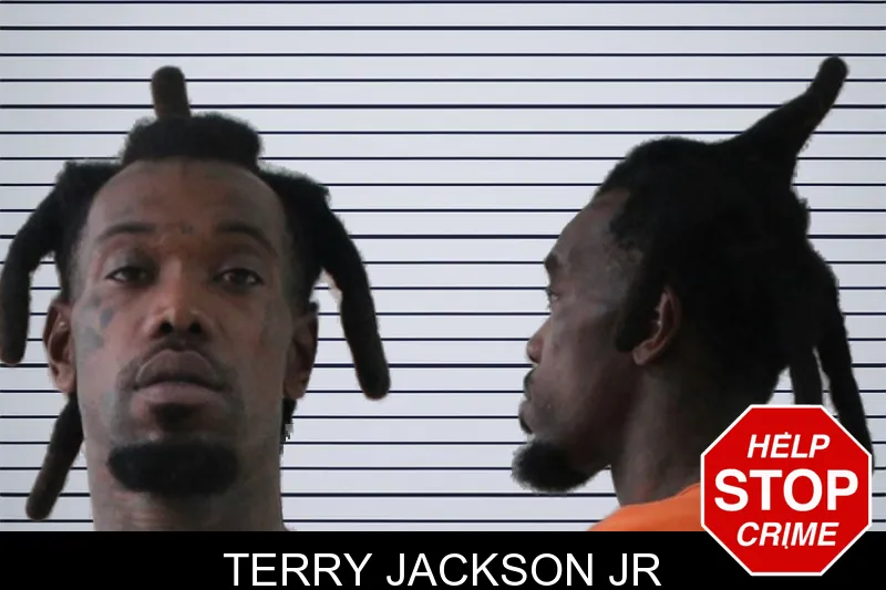Terry Jackson Jr mugshot – Houston County , Georgia Terry Jackson Jr mugshot
