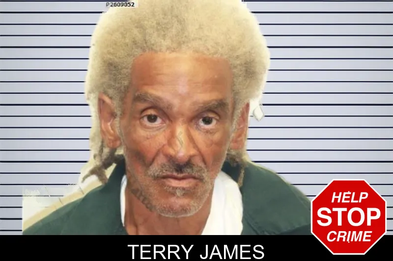 Terry James mugshot – Chatham County , Georgia Terry James mugshot