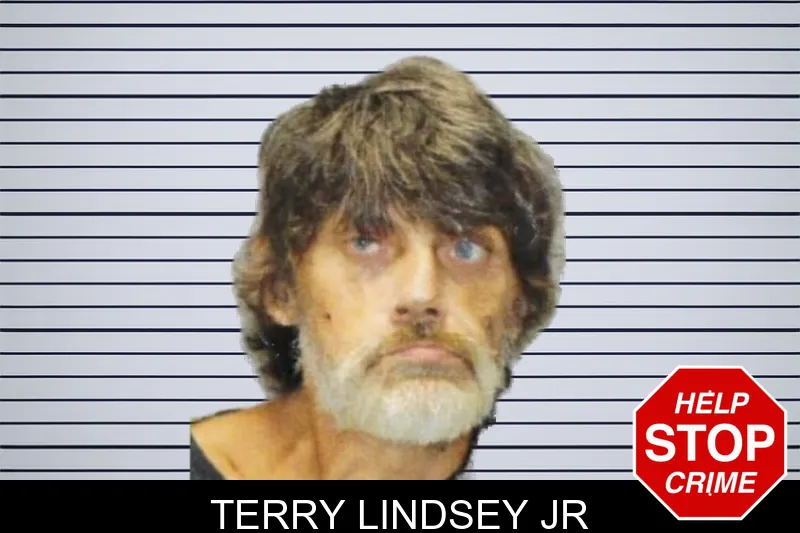 Terry Lindsey Jr mugshot