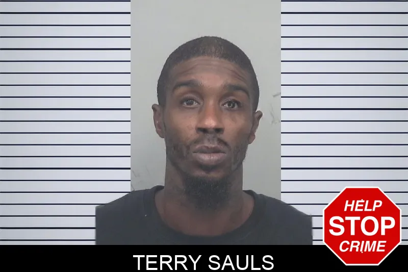 Terry Sauls mugshot