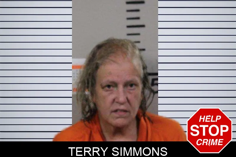 Terry Simmons mugshot