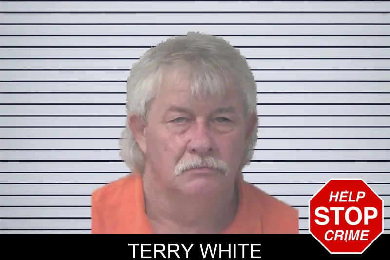 Terry White mugshot – Newton County , Georgia Terry White mugshot