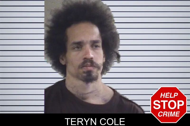 Teryn Cole mugshot – Whitfield County , Georgia Teryn Cole mugshot