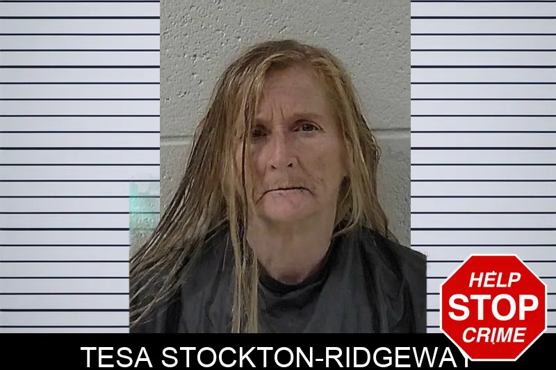 Tesa Stockton-Ridgeway mugshot – Elbert County , Georgia Tesa Stockton-Ridgeway mugshot