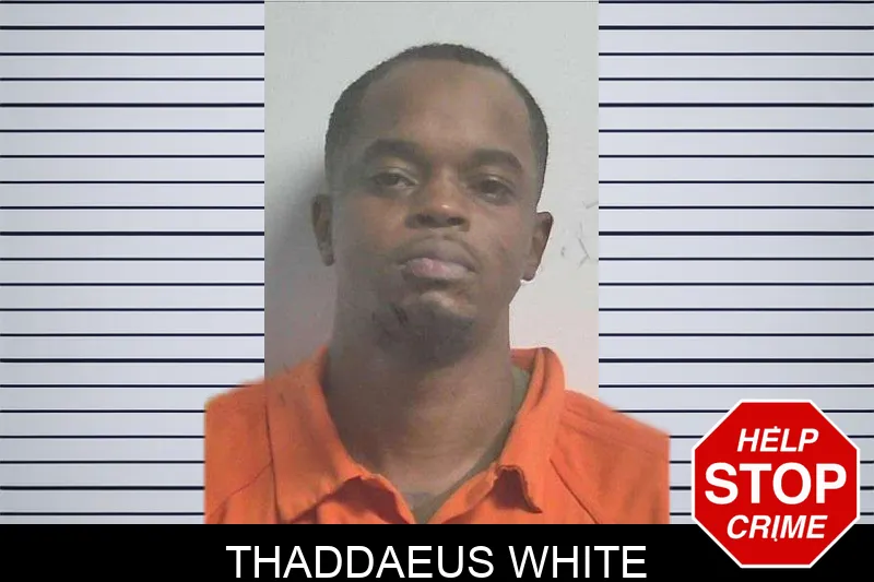 Thaddaeus White mugshot – Colquitt County , Georgia Thaddaeus White mugshot