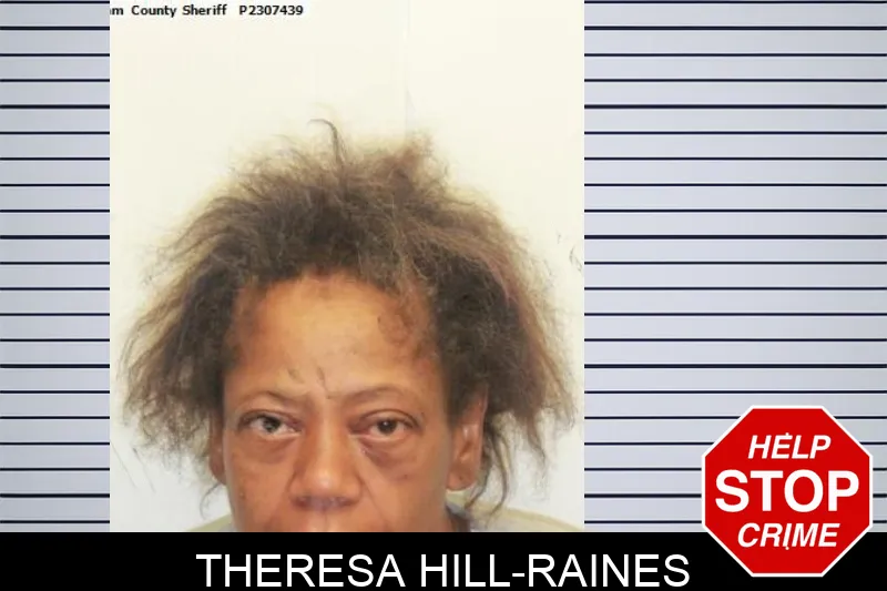 Theresa Hill-Raines mugshot