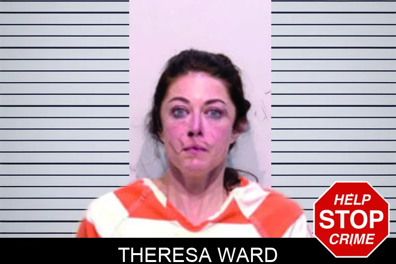 Theresa Ward mugshot – Bartow County , Georgia Theresa Ward mugshot