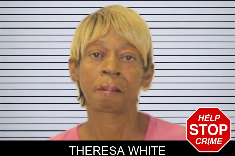 Theresa White mugshot