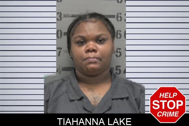 Tiahanna Lake mugshot – Dougherty County , Georgia Tiahanna Lake mugshot