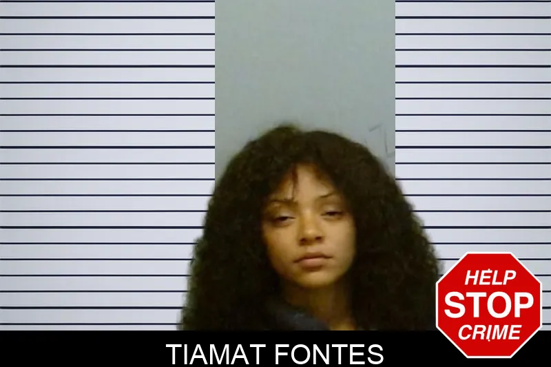 Tiamat Fontes mugshot – Fulton County , Georgia Tiamat Fontes mugshot