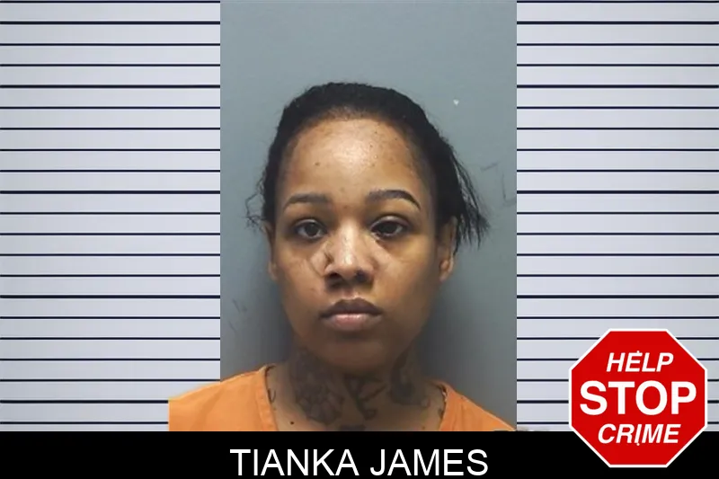 Tianka James mugshot – Cherokee County , Georgia Tianka James mugshot