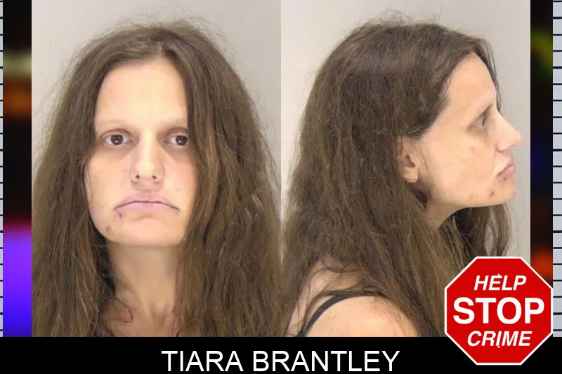 Tiara Brantley mugshot – Richmond County , Georgia Tiara Brantley mugshot