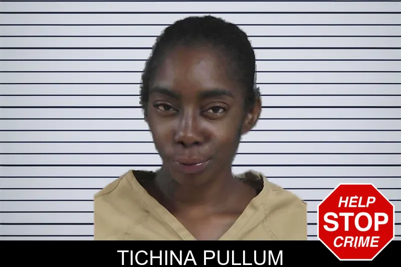 Tichina Pullum mugshot