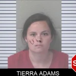 Tierra Adams mugshot – Newton County , Georgia Tierra Adams mugshot