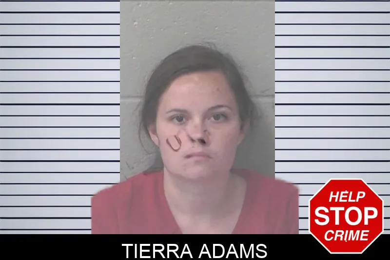 Tierra Adams mugshot – Newton County , Georgia Tierra Adams mugshot