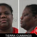Tierra Cummings mugshot – Houston County , Georgia Tierra Cummings mugshot