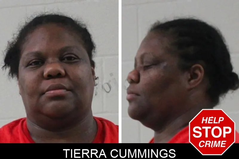Tierra Cummings mugshot