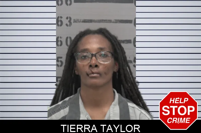Tierra Taylor mugshot