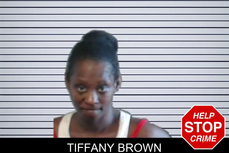 Tiffany Brown mugshot – DeKalb County , Georgia Tiffany Brown mugshot