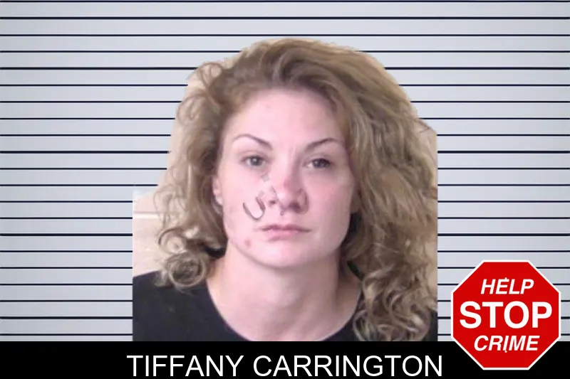 Tiffany Carrington mugshot – Walker County , Georgia Tiffany Carrington mugshot