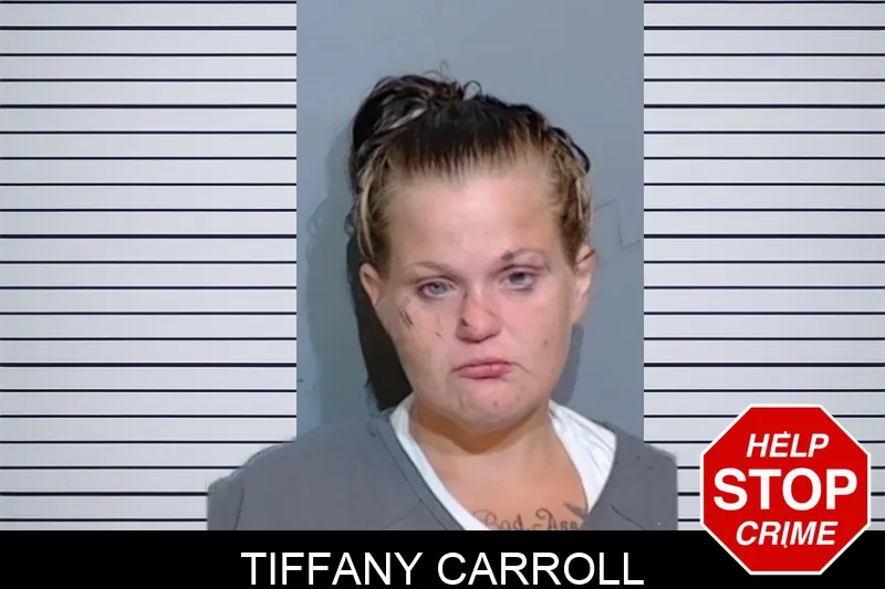 Tiffany Carroll mugshot – Glynn County , Georgia Tiffany Carroll mugshot