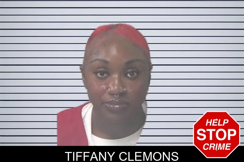 Tiffany Clemons mugshot