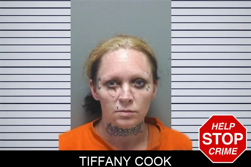 Tiffany Cook mugshot – Cherokee County , Georgia Tiffany Cook mugshot
