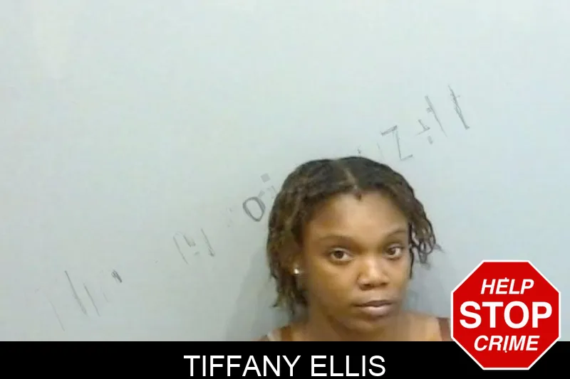Tiffany Ellis mugshot – Fulton County , Georgia Tiffany Ellis mugshot
