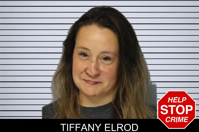 Tiffany Elrod mugshot – Hall County , Georgia Tiffany Elrod mugshot