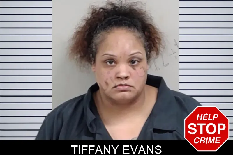 Tiffany Evans mugshot