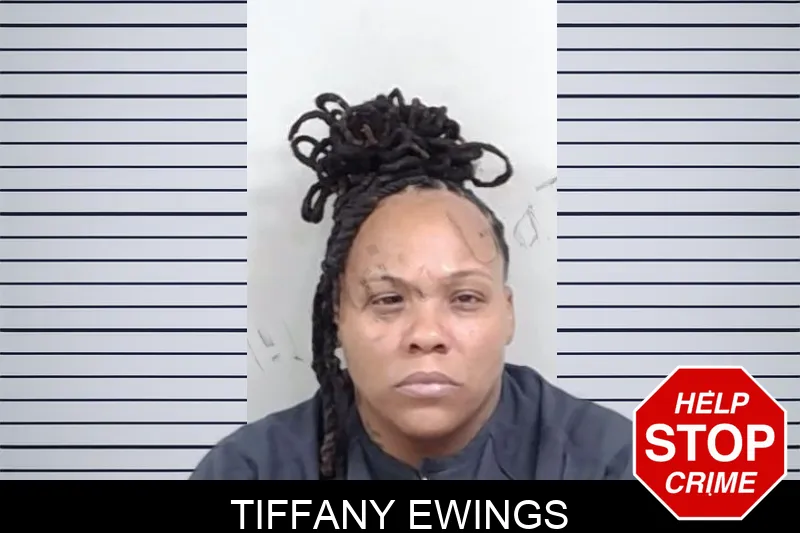 Tiffany Ewings mugshot – Lowndes County , Georgia Tiffany Ewings mugshot