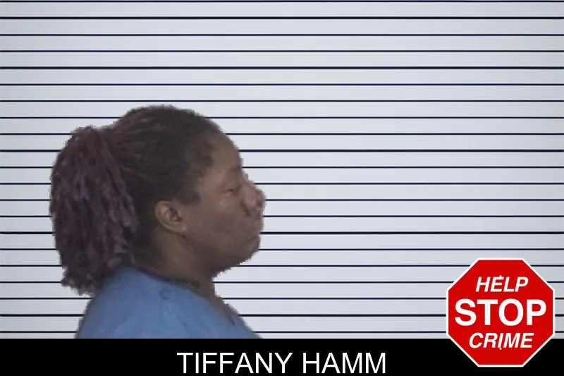 Tiffany Hamm mugshot – Barrow County , Georgia Tiffany Hamm mugshot