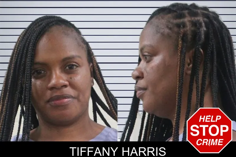 Tiffany Harris mugshot – Houston County , Georgia Tiffany Harris mugshot