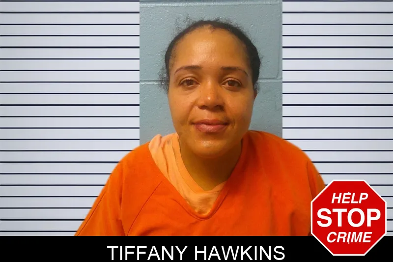 Tiffany Hawkins mugshot – Franklin County , Georgia Tiffany Hawkins mugshot