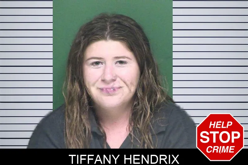 Tiffany Hendrix mugshot – Appling County , Georgia Tiffany Hendrix mugshot