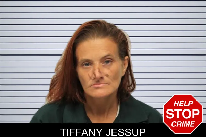 Tiffany Jessup mugshot – Chatham County , Georgia Tiffany Jessup mugshot