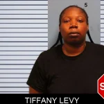 Tiffany Levy mugshot – Monroe County , Georgia Tiffany Levy mugshot