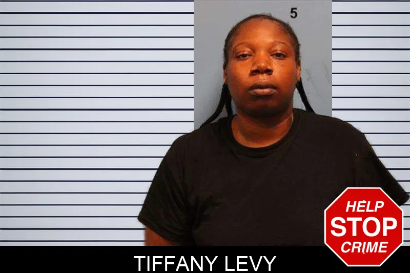 Tiffany Levy mugshot