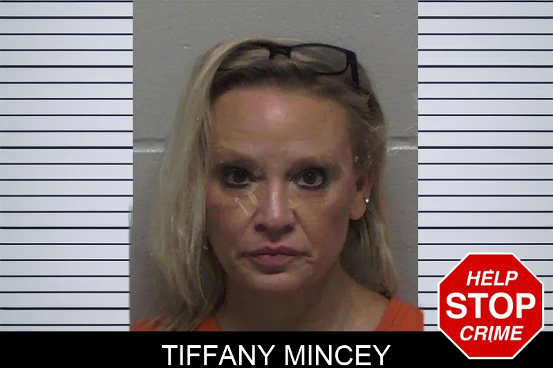 Tiffany Mincey mugshot – Laurens County , Georgia Tiffany Mincey mugshot