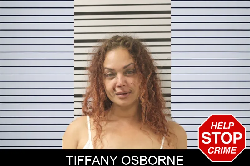 Tiffany Osborne mugshot – Toombs County , Georgia Tiffany Osborne mugshot