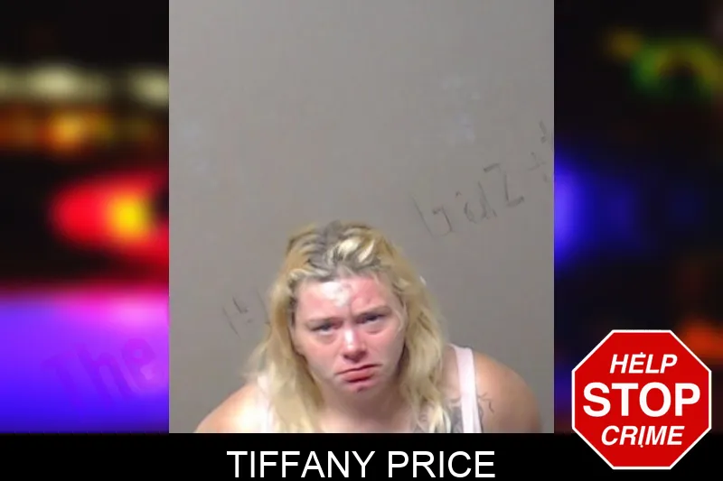 Tiffany Price mugshot