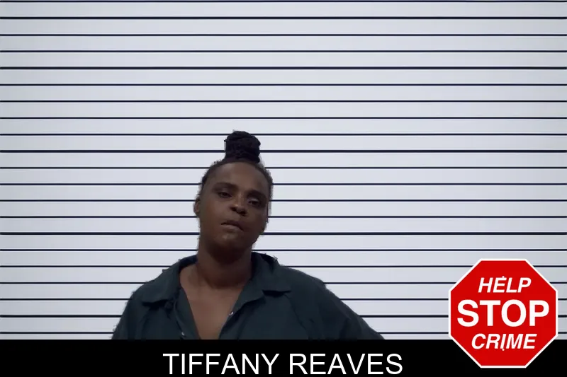 Tiffany Reaves mugshot – Irwin County , Georgia Tiffany Reaves mugshot
