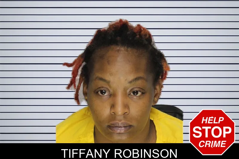 Tiffany Robinson mugshot – Cobb County , Georgia Tiffany Robinson mugshot