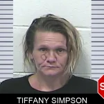 Tiffany Simpson mugshot – Dawson County , Georgia Tiffany Simpson mugshot