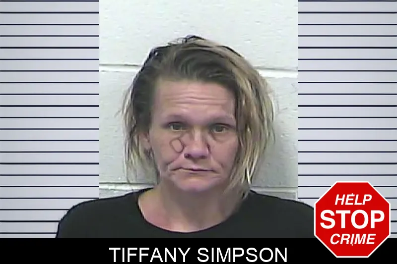 Tiffany Simpson mugshot – Dawson County , Georgia Tiffany Simpson mugshot