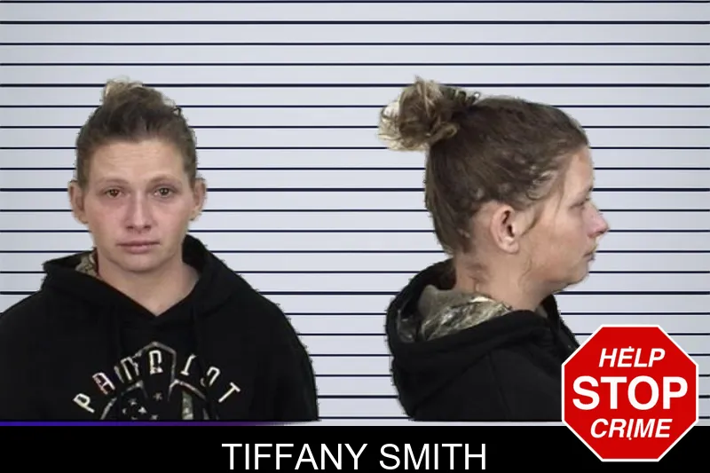 Tiffany Smith mugshot – Camden County , Georgia Tiffany Smith mugshot