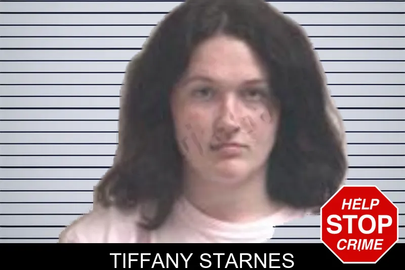 Tiffany Starnes mugshot – Henry County , Georgia Tiffany Starnes mugshot