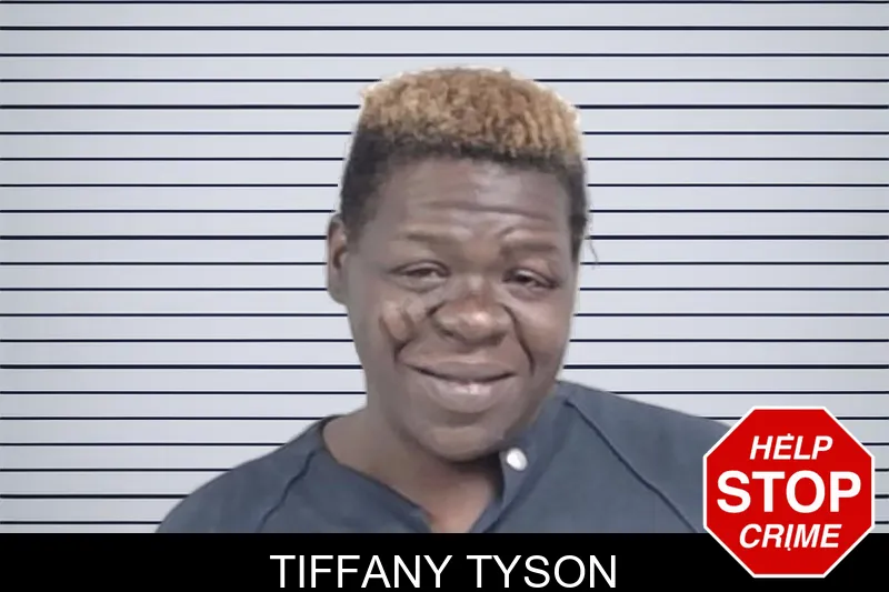 Tiffany Tyson mugshot – Lowndes County , Georgia Tiffany Tyson mugshot