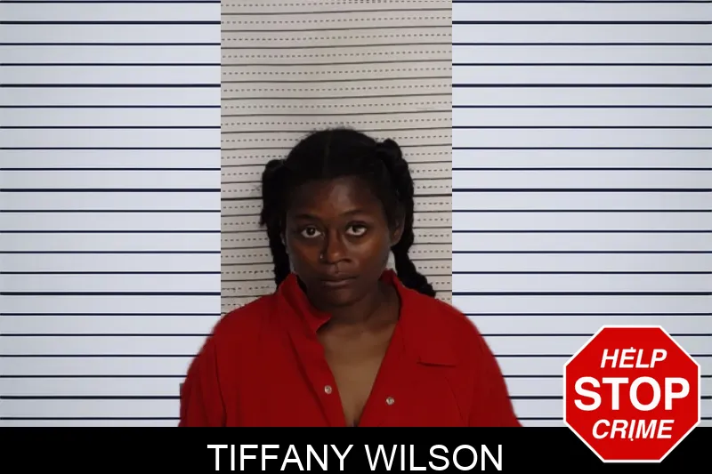 Tiffany Wilson mugshot – Rockdale County , Georgia Tiffany Wilson mugshot